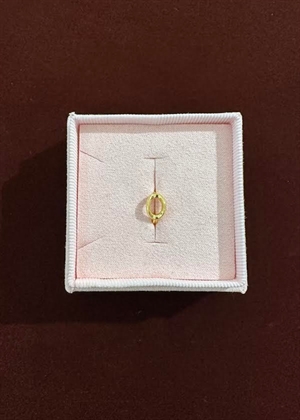 Spelling huggie O Forgyldt Pico 